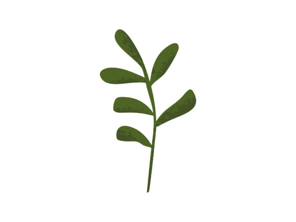 Download Leaves Decorative Elements Illustration - Premium Resources